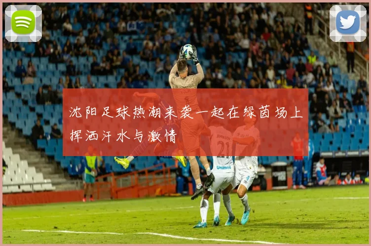 沈阳足球热潮来袭一起在绿茵场上挥洒汗水与激情