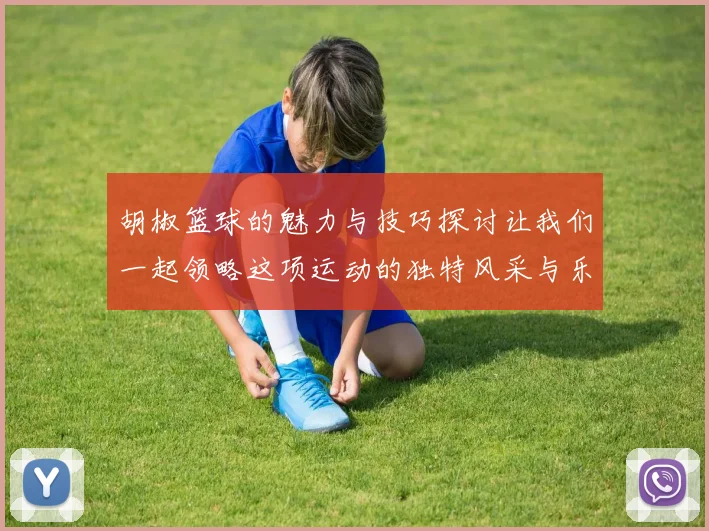 胡椒篮球的魅力与技巧探讨让我们一起领略这项运动的独特风采与乐趣