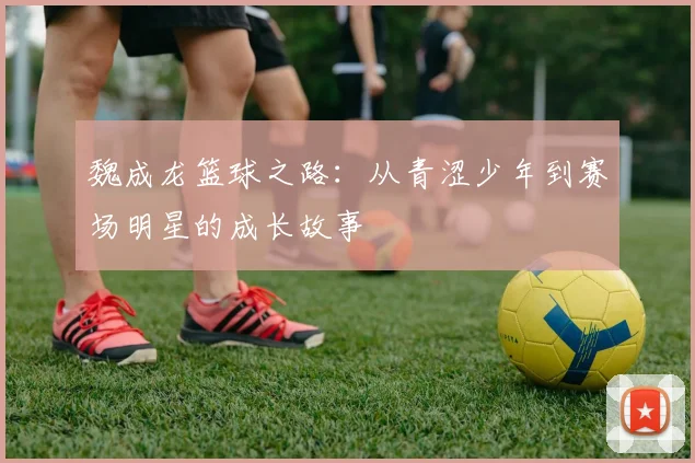 魏成龙篮球之路：从青涩少年到赛场明星的成长故事