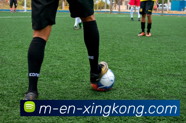 多媒体互动体验